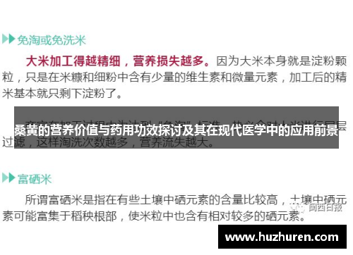 桑黄的营养价值与药用功效探讨及其在现代医学中的应用前景