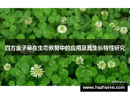 四方盒子草在生态恢复中的应用及其生长特性研究